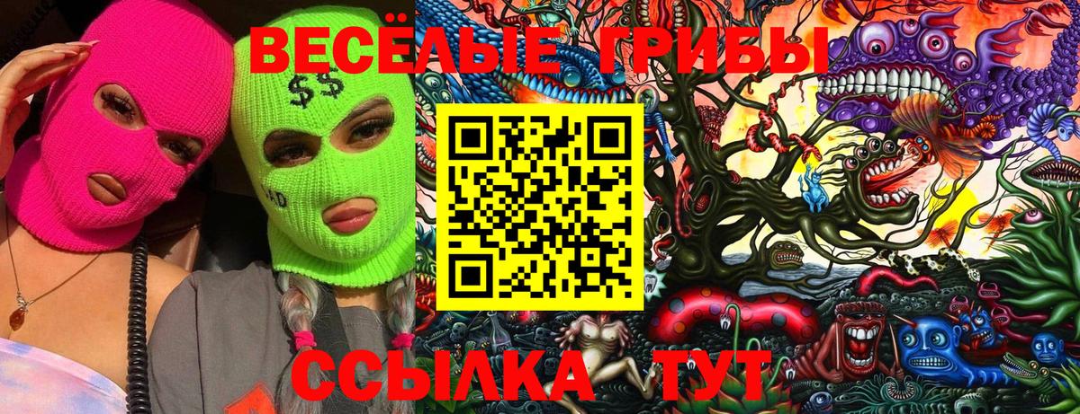 Псилоцибиновые грибы мицелий  Псилоцибиновые грибы Cubensis  Рузаевка  Вход с VPN 